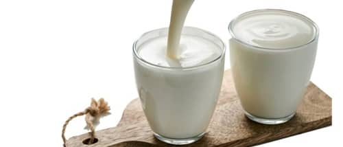 Fat Content And Weight Gain