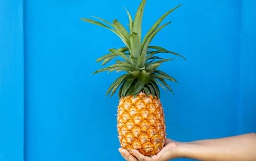 Pineapple